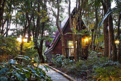 The Mouses House - Rainforest Retreat - Lightning Ridge Tourism 2