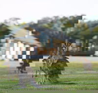 Yering Gorge Cottages - Lightning Ridge Tourism