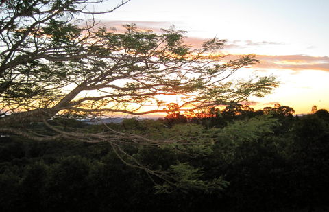 Annie's Place Bed And Breakfast - Lightning Ridge Tourism 0