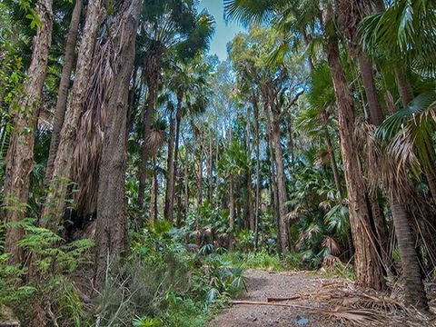 Brambles Green Campground - Lightning Ridge Tourism 1