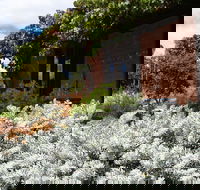 Kangaroos in the Top Paddock - Lightning Ridge Tourism