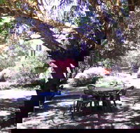 Morse Cottage - Lightning Ridge Tourism