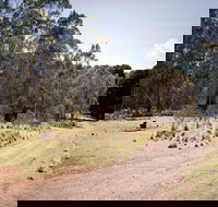 The Pines campground - Lightning Ridge Tourism