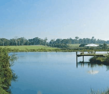 Forest Rise Eco Retreat - Lightning Ridge Tourism