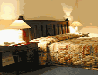 Comfort Inn Treetop Walk - Lightning Ridge Tourism