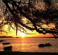 Pelican's Nest - Lightning Ridge Tourism