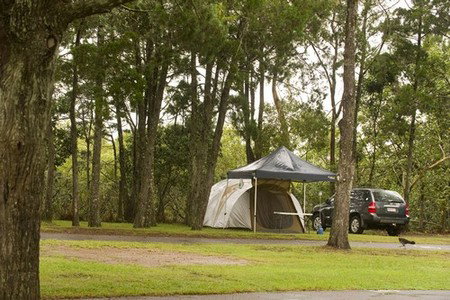 Terrace Reserve Holiday Park - Lightning Ridge Tourism 3