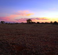 Wogarno Homestead - Lightning Ridge Tourism