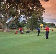 Barham Golf Resort - Lightning Ridge Tourism