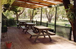 Sun Valley Tourist Park - Lightning Ridge Tourism 1