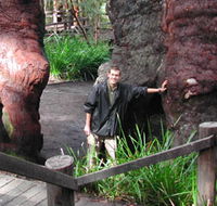 Walpole Lodge - Lightning Ridge Tourism