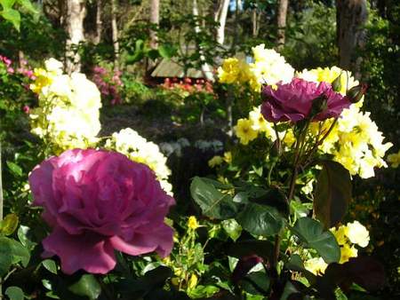 Ford House Retreat - Lightning Ridge Tourism 0