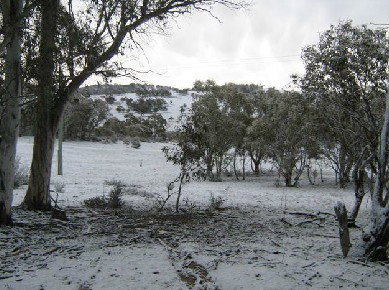 The Range - Lightning Ridge Tourism 4