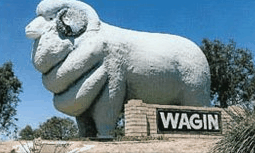 Wagin Motel - Lightning Ridge Tourism