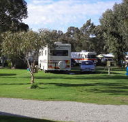 Pinjarra Caravan Park - Lightning Ridge Tourism