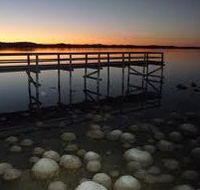 Lake Clifton Caravan Park - Lightning Ridge Tourism