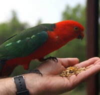 Barrington Tops Escapes - Lightning Ridge Tourism