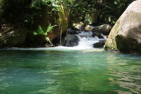 Daintree Secrets Rainforest Sanctuary - Lightning Ridge Tourism 0