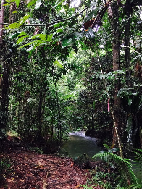 Daintree Wilderness Lodge - Lightning Ridge Tourism 2