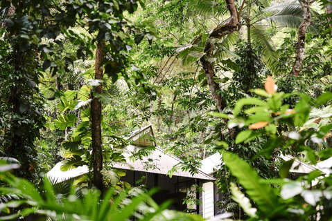 Daintree Ecolodge - Lightning Ridge Tourism 0