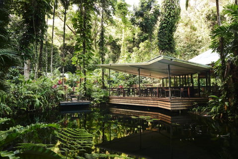 Daintree Ecolodge - Lightning Ridge Tourism 1
