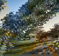 Delicate campground - Lightning Ridge Tourism