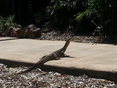 Escape 1770 - Lightning Ridge Tourism 2