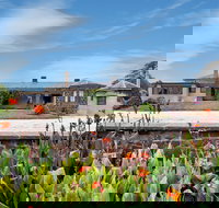 Eurambeen Historic Homestead and Gardens - Lightning Ridge Tourism