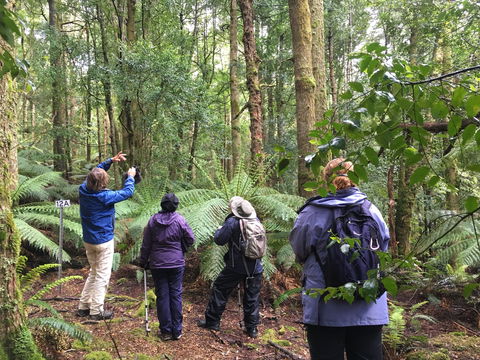 Forest Walks Lodge - Eco-Accommodation - Lightning Ridge Tourism 1
