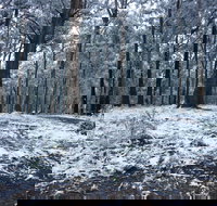 High Peaks Cottages - Lightning Ridge Tourism