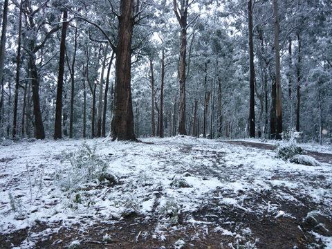 High Peaks Cottages - Lightning Ridge Tourism 0