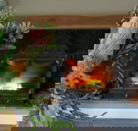 Koala Gully - Lightning Ridge Tourism