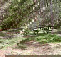 Mulloon Creek campground - Lightning Ridge Tourism