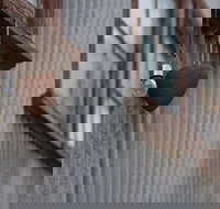 Our Little Gem B B - Lightning Ridge Tourism