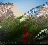 Sandstone Park Carnarvon Gorge - Lightning Ridge Tourism