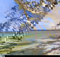 Shoal Cape Camp at Stokes National Park - Lightning Ridge Tourism