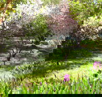 Sofala Cottage - Lightning Ridge Tourism