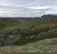 Three Creeks - Lightning Ridge Tourism