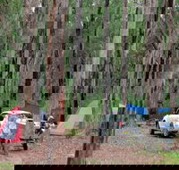 Wallingat River campground - Lightning Ridge Tourism