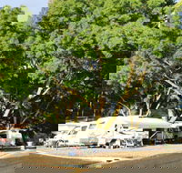 Williamstown Queen Victoria Jubilee Park - Lightning Ridge Tourism