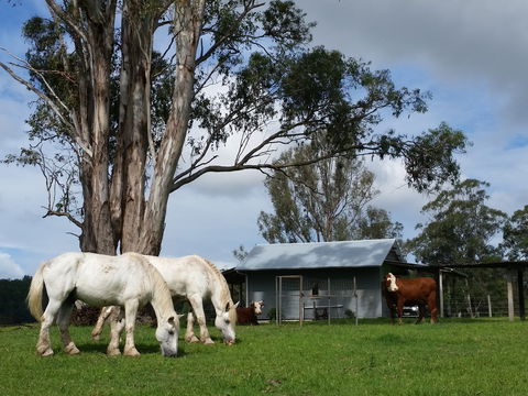 Woodenbong B And B - Lightning Ridge Tourism 0
