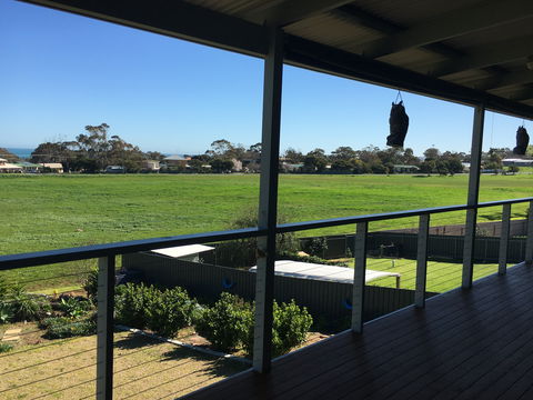 Falcon Blue - Lightning Ridge Tourism 1