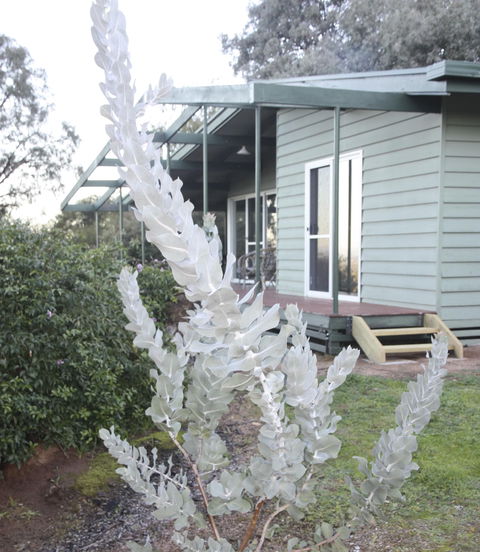 Kurringai Cottage - Lightning Ridge Tourism 2