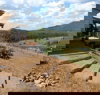 Lonely Goat Olive Farm - Lightning Ridge Tourism