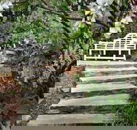 Loxley on Bellbird Hill - Lightning Ridge Tourism