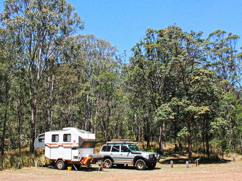 Main Range National Park Camping - Lightning Ridge Tourism 1