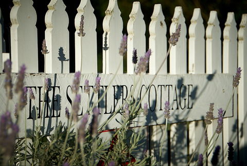 Mayfield Vineyard Cottages - Lightning Ridge Tourism 0