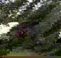 Turkeys Nest Rainforest Cottages Mt Glorious - Lightning Ridge Tourism