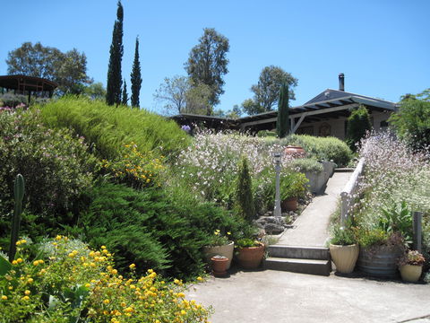 Valley View Cottage Hunter Valley - Lightning Ridge Tourism 0
