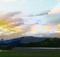 Back Forest Retreat - Lightning Ridge Tourism